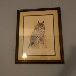 Rare vintage owl picture - JUST THE PICTURE like new